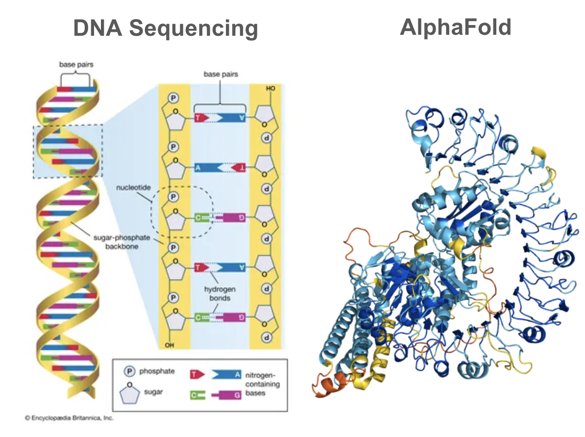 Two examples of using bioinformatics: DNA sequencing and AlphaFold.