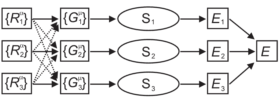 Structure of the neural network of the Behler-Parrinello potential containing 3 atoms. The Cartesian coordinates of atom i are represented by R_i^\alpha and then trensformed to a set of mu symmetry function values G_i^\mu. The symmetry function is then passed to a subnet S_i to compute atomic energy E_i and the total energy is obtained by summing over all atomic energies.