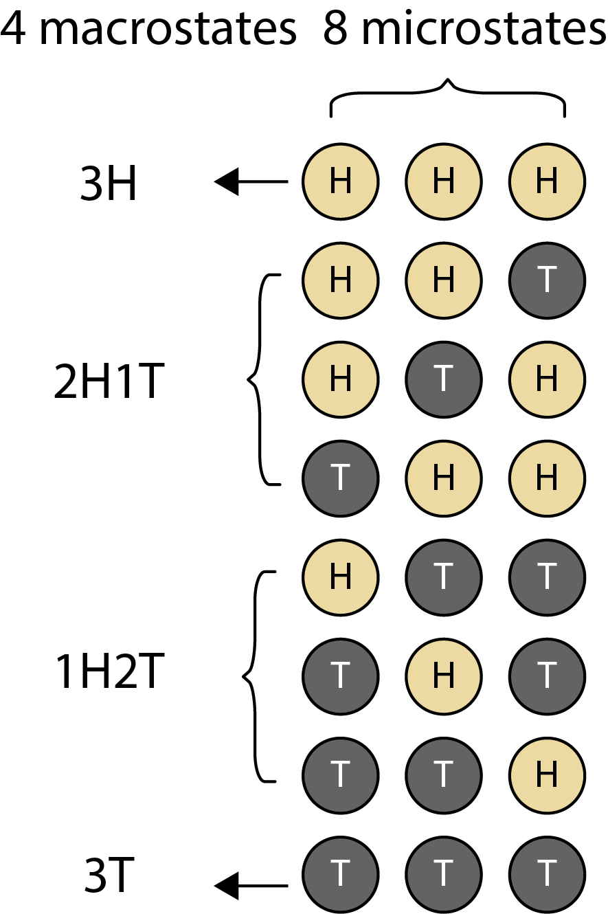 Microstates and macrostates in statistical mechanics as applied to a coin toss example. Each possible outcome of the coin tosses represents a microstate, while the number of heads and tails represents a macrostate.