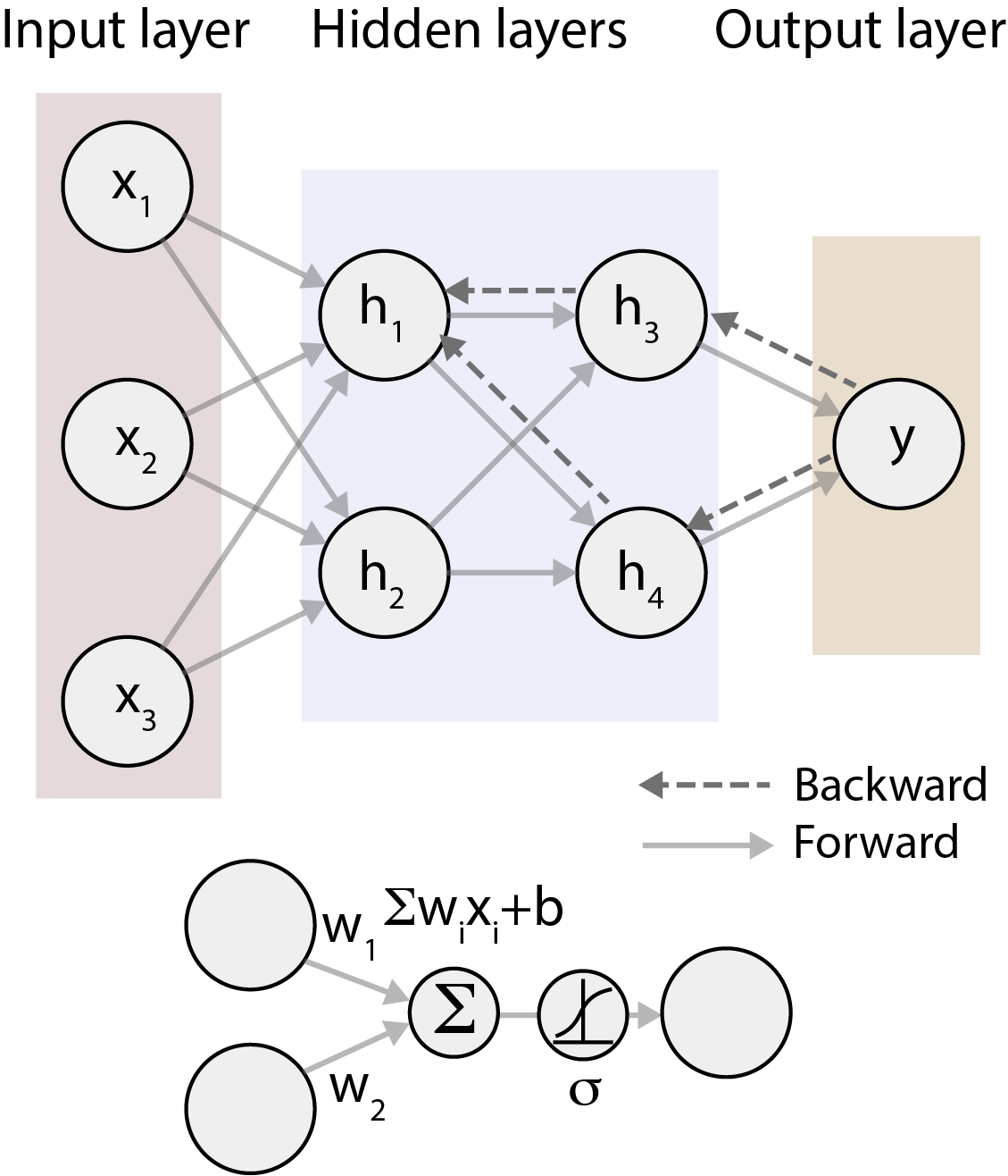 Neural network architecture. The input layer receives the input features, the hidden layers perform computations using activation functions, and the output layer produces the final predictions. Each connection between neurons has an associated weight, and each neuron has a bias term. Activation functions introduce non-linearity into the model, allowing it to learn complex relationships in the data.