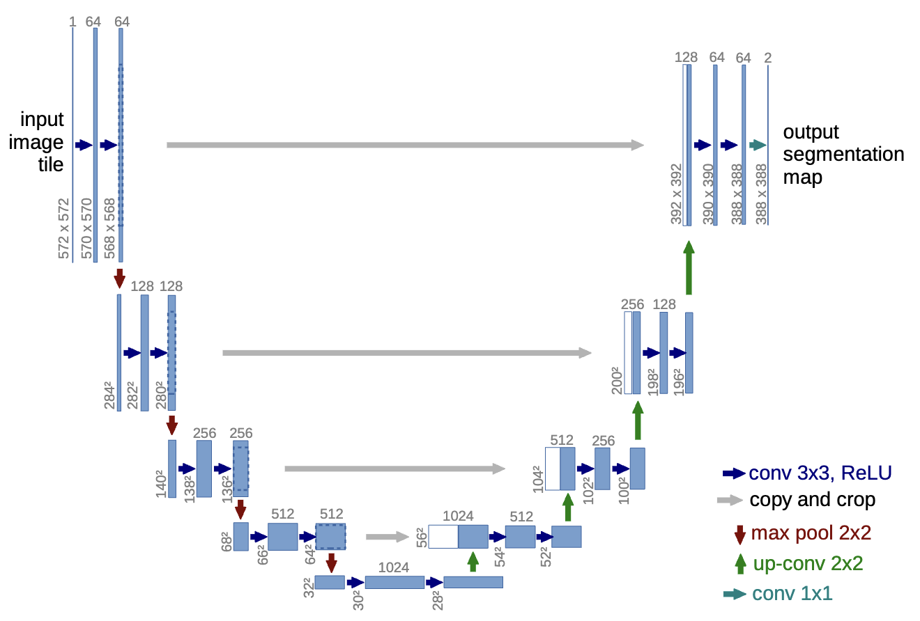 U-Net architecture for denoising. The U-Net consists of an encoder-decoder structure with skip connections, allowing it to capture both local and global features effectively. Figure adapted from U-Net: Convolutional Networks for Biomedical Image Segmentation.